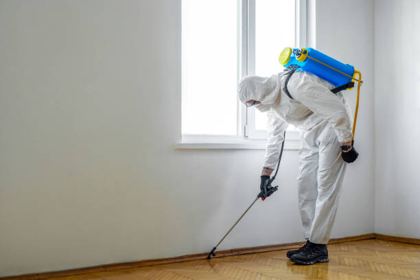 Best Residential Pest Control  in Galveston, TX